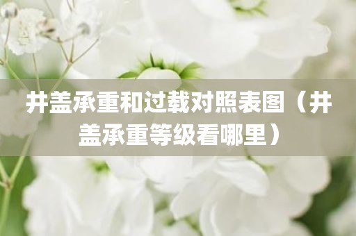 井盖承重和过载对照表图（井盖承重等级看哪里）