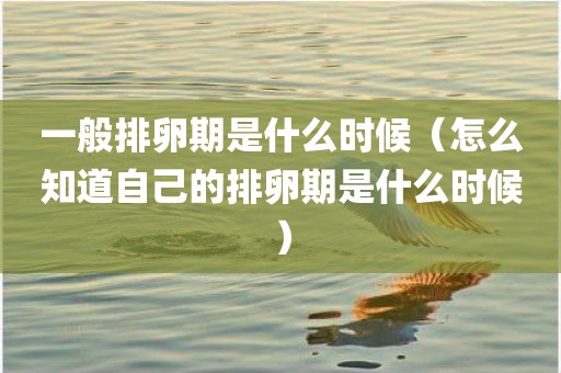 一般排卵期是什么时候（怎么知道自己的排卵期是什么时候）
