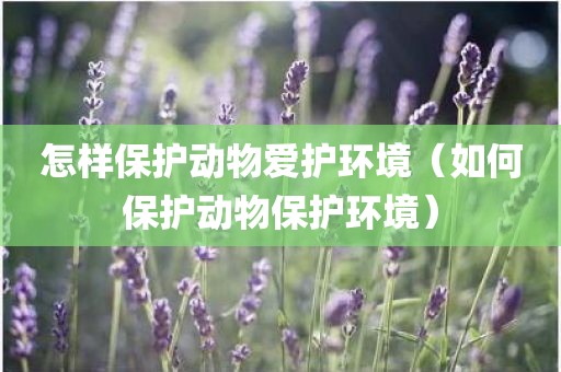 怎样保护动物爱护环境（如何保护动物保护环境）