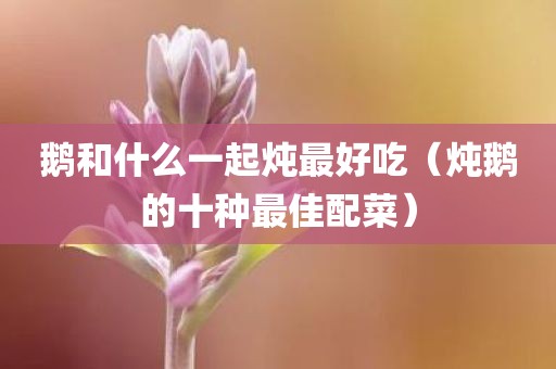 鹅和什么一起炖最好吃（炖鹅的十种最佳配菜）