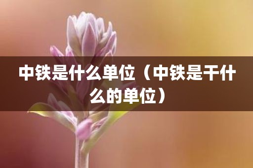 中铁是什么单位(中铁是干什么的单位)