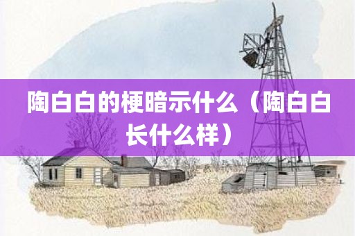 陶白白的梗暗示什么(陶白白长什么样)
