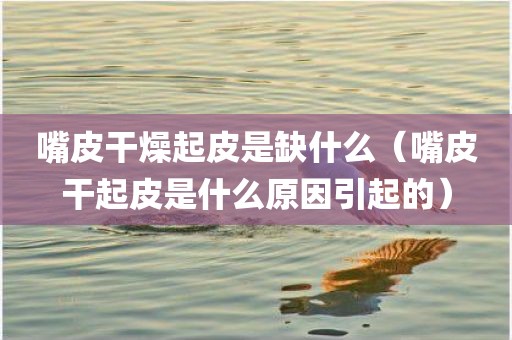 嘴皮干燥起皮是缺什么(嘴皮干起皮是什么原因引起的)