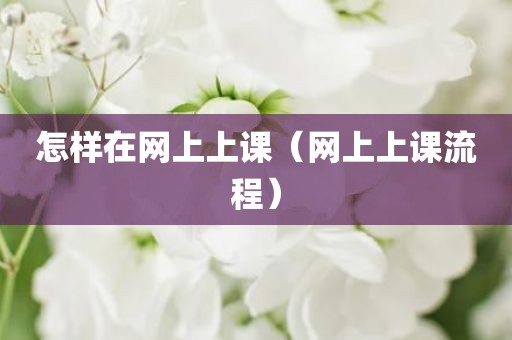 怎样在网上上课（网上上课流程）