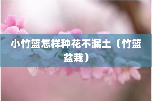 小竹篮怎样种花不漏土（竹篮盆栽）