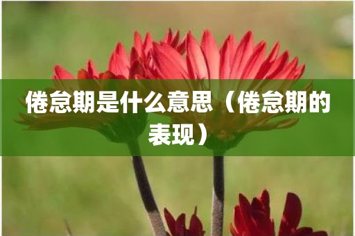 倦怠期是什么意思（倦怠期的表现）