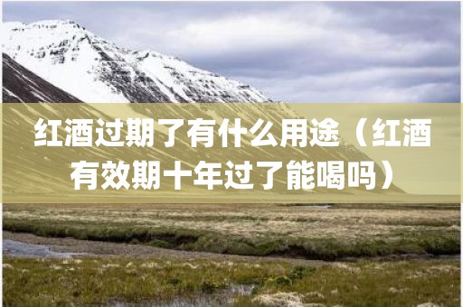 红酒过期了有什么用途（红酒有效期十年过了能喝吗）