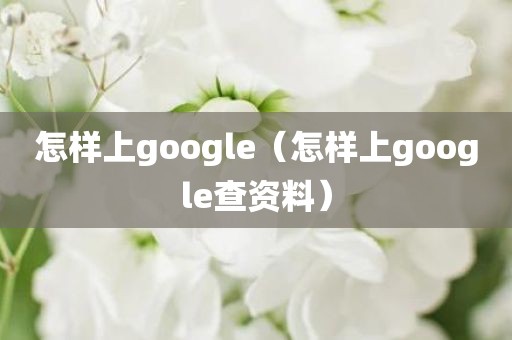 怎样上google（怎样上google查资料）