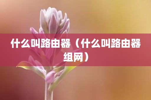 什么叫路由器（什么叫路由器组网）