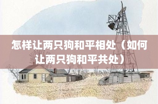 怎样让两只狗和平相处（如何让两只狗和平共处）