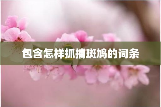 包含怎样抓捕斑鸠的词条