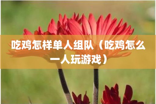 吃鸡怎样单人组队（吃鸡怎么一人玩游戏）