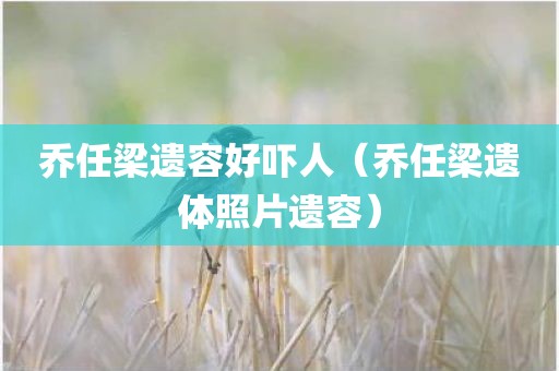 乔任梁遗容好吓人(乔任梁遗体照片遗容)