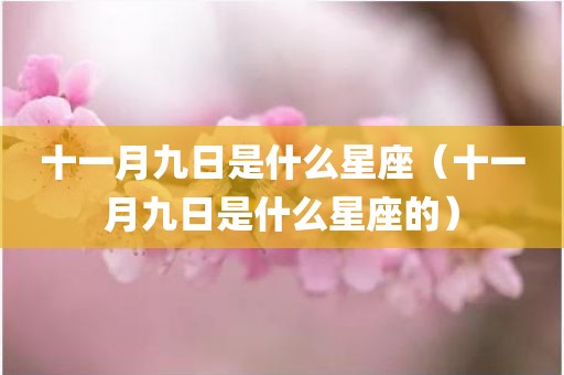 十一月九日是什么星座（十一月九日是什么星座的）