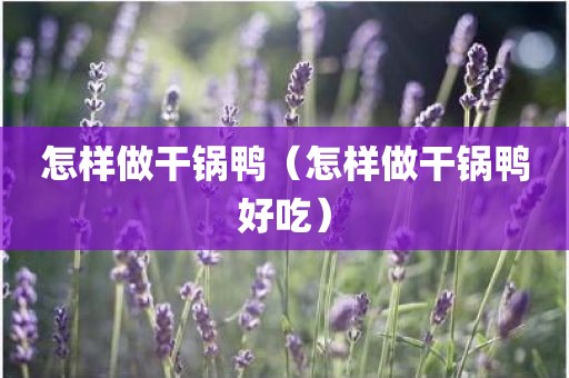 怎样做干锅鸭（怎样做干锅鸭好吃）