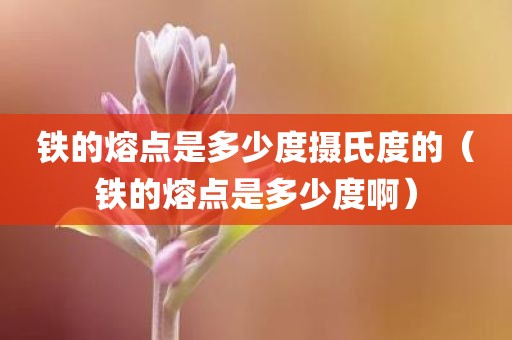 铁的熔点是多少度摄氏度的(铁的熔点是多少度啊)