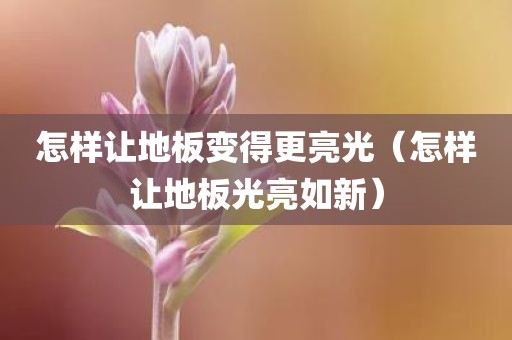 怎样让地板变得更亮光（怎样让地板光亮如新）