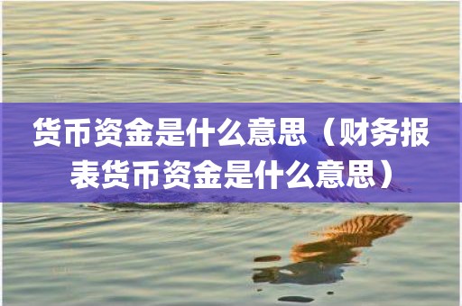 货币资金是什么意思（财务报表货币资金是什么意思）