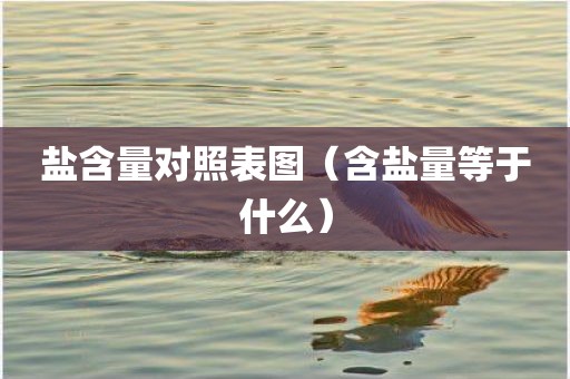 盐含量对照表图（含盐量等于什么）