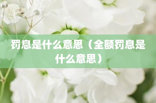 罚息是什么意思（全额罚息是什么意思）