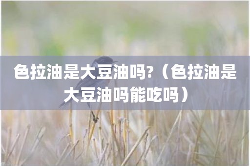 色拉油是大豆油吗?（色拉油是大豆油吗能吃吗）