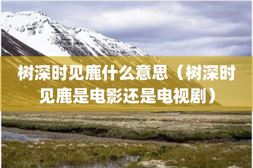 树深时见鹿什么意思（树深时见鹿是电影还是电视剧）