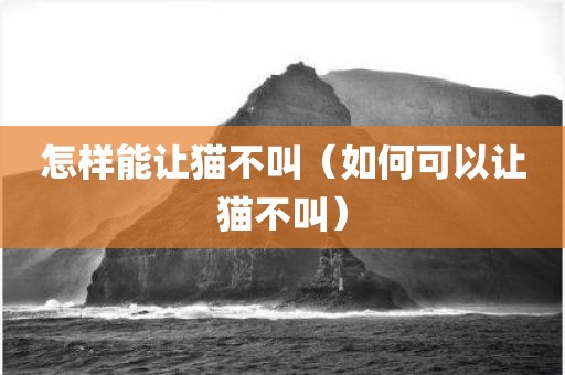 怎样能让猫不叫（如何可以让猫不叫）