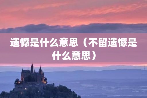 遗憾是什么意思（不留遗憾是什么意思）