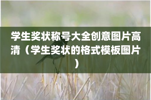 学生奖状称号大全创意图片高清（学生奖状的格式模板图片）