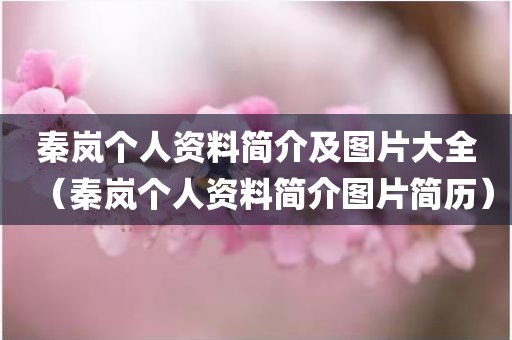 秦岚个人资料简介及图片大全（秦岚个人资料简介图片简历）