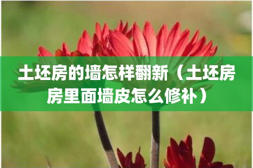 土坯房的墙怎样翻新（土坯房房里面墙皮怎么修补）