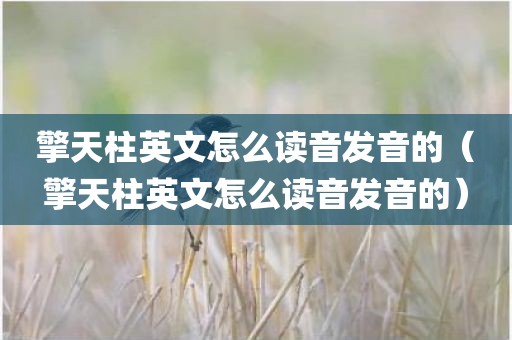 擎天柱英文怎么读音发音的（擎天柱英文怎么读音发音的）