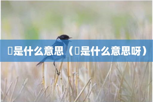 枏是什么意思(枏是什么意思呀)