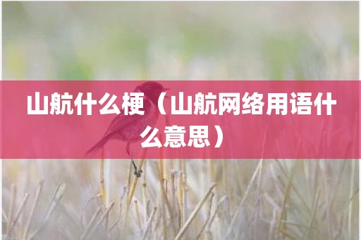 山航什么梗（山航网络用语什么意思）