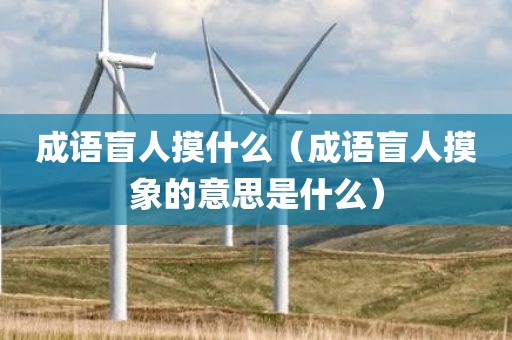 成语盲人摸什么（成语盲人摸象的意思是什么）