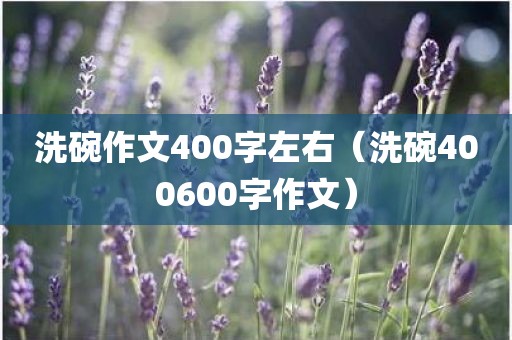 洗碗作文400字左右（洗碗400600字作文）