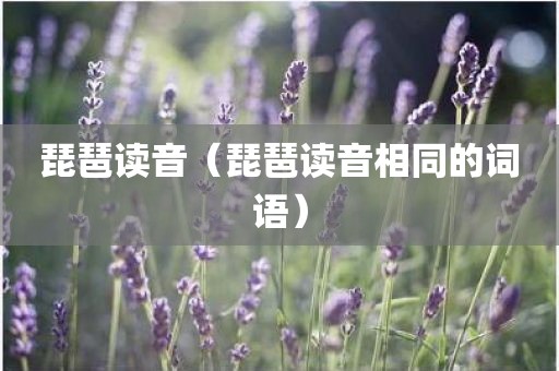 琵琶读音(琵琶读音相同的词语) 琵琶读音(琵琶读音相同的词语)