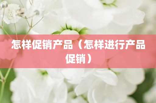 怎样促销产品（怎样进行产品促销）