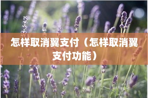 怎样取消翼支付（怎样取消翼支付功能）