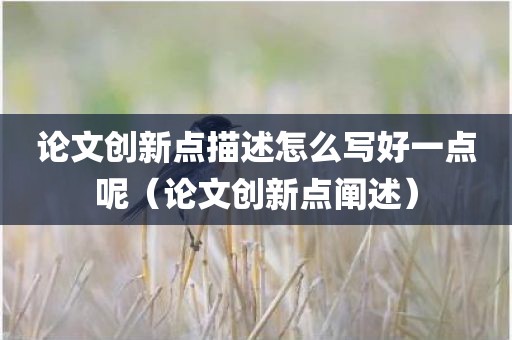 论文创新点描述怎么写好一点呢（论文创新点阐述）