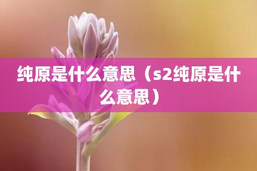 纯原是什么意思（s2纯原是什么意思）
