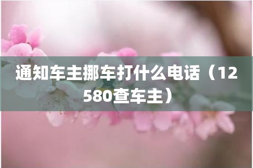 通知车主挪车打什么电话（12580查车主）