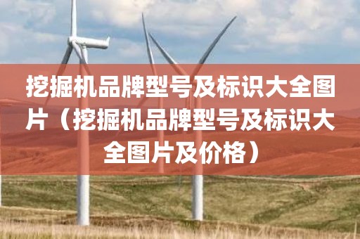 挖掘机品牌型号及标识大全图片（挖掘机品牌型号及标识大全图片及价格）