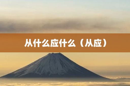 从什么应什么（从应）