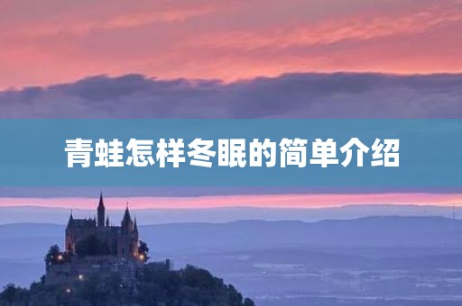 青蛙怎样冬眠的简单介绍