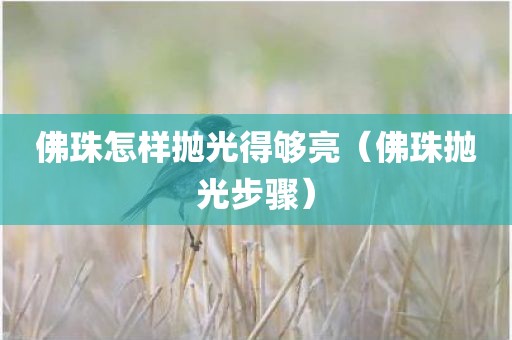 佛珠怎样抛光得够亮（佛珠抛光步骤）