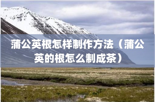 蒲公英根怎样制作方法（蒲公英的根怎么制成茶）