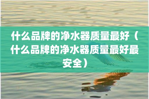 什么品牌的净水器质量最好（什么品牌的净水器质量最好最安全）