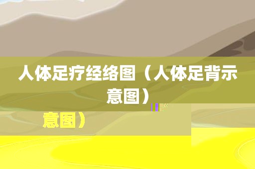 人体足疗经络图(人体足背示意图)