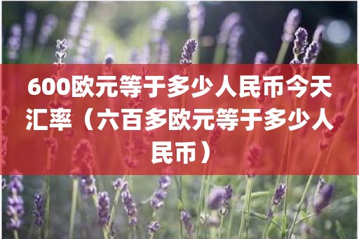 600欧元等于多少人民币今天汇率(六百多欧元等于多少人民币)